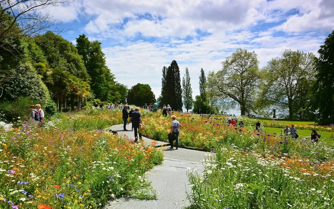 Lake Constance: Mainau Flower Island Entry Tickets Image 9