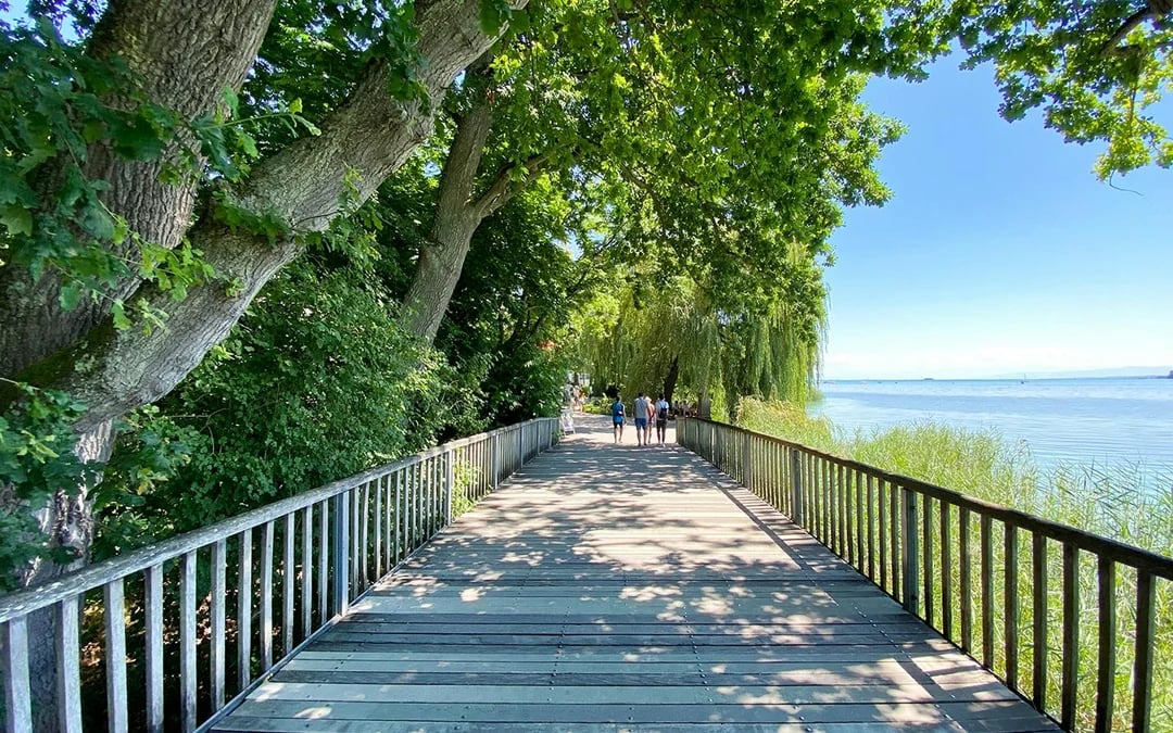 Lake Constance: Mainau Flower Island Entry Tickets Image 10