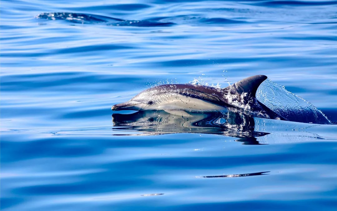 Lake Macquarie Coastal Boat Tour Image 3