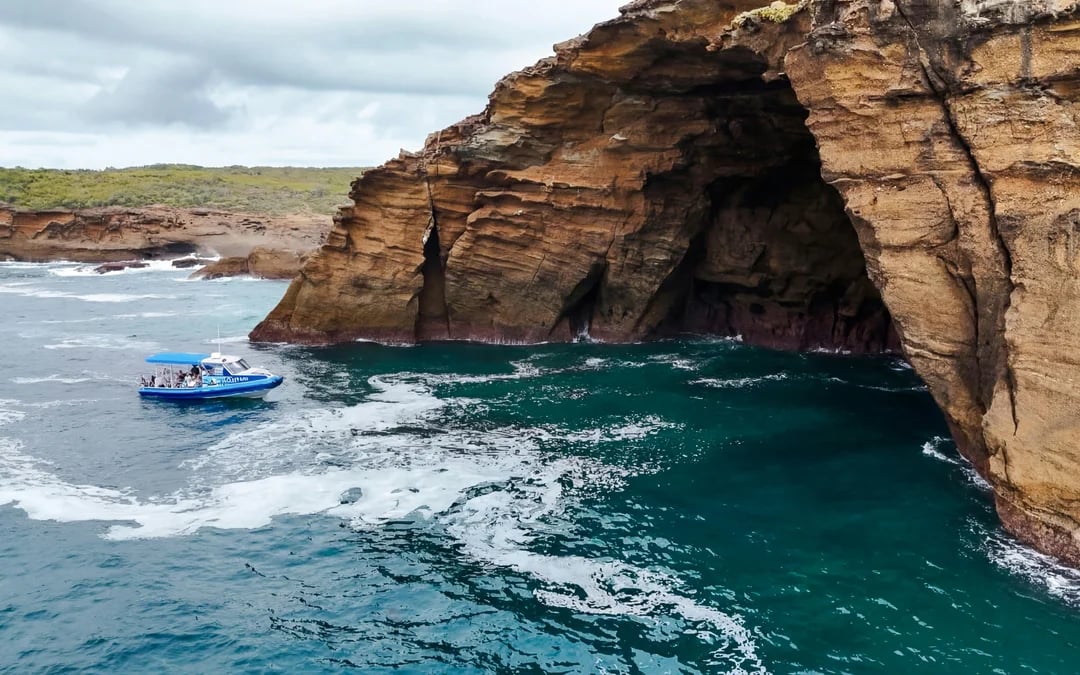 Lake Macquarie Coastal Boat Tour Image 4