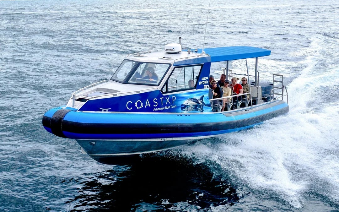 Lake Macquarie Coastal Boat Tour Image 5