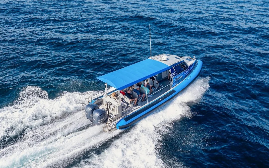 Lake Macquarie Whale Watching Eco Cruise Image 11
