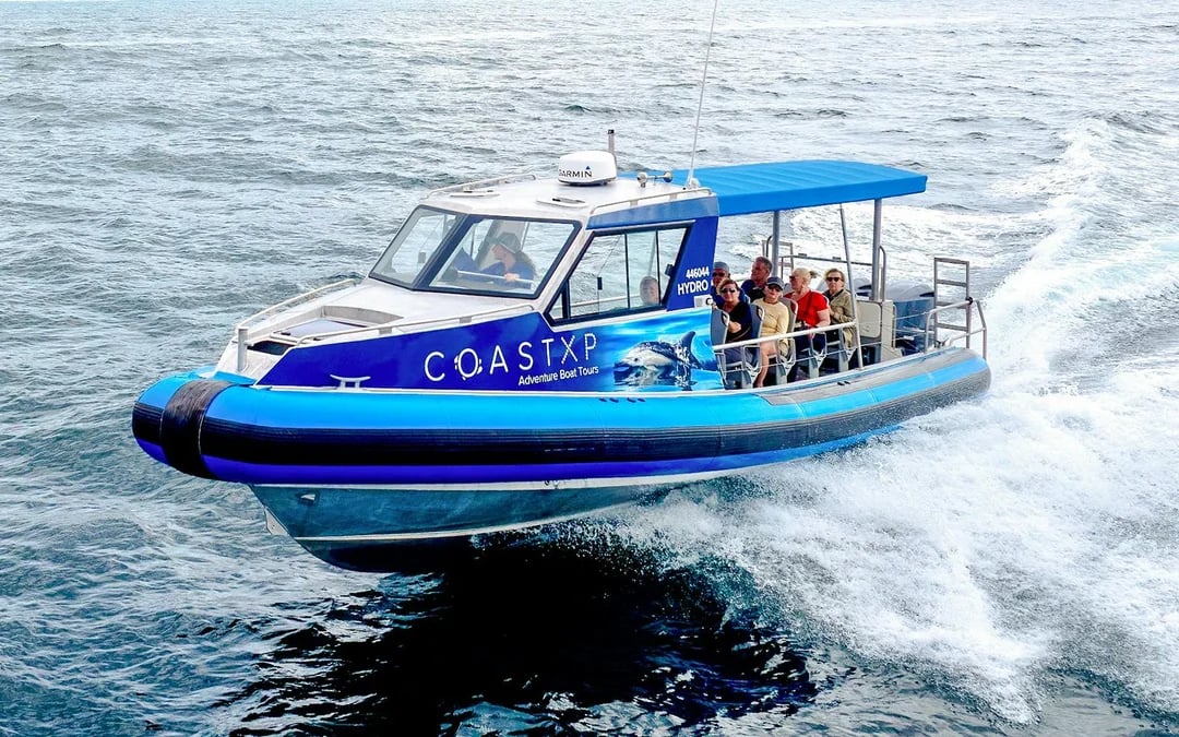 Lake Macquarie Whale Watching Eco Cruise Image 7