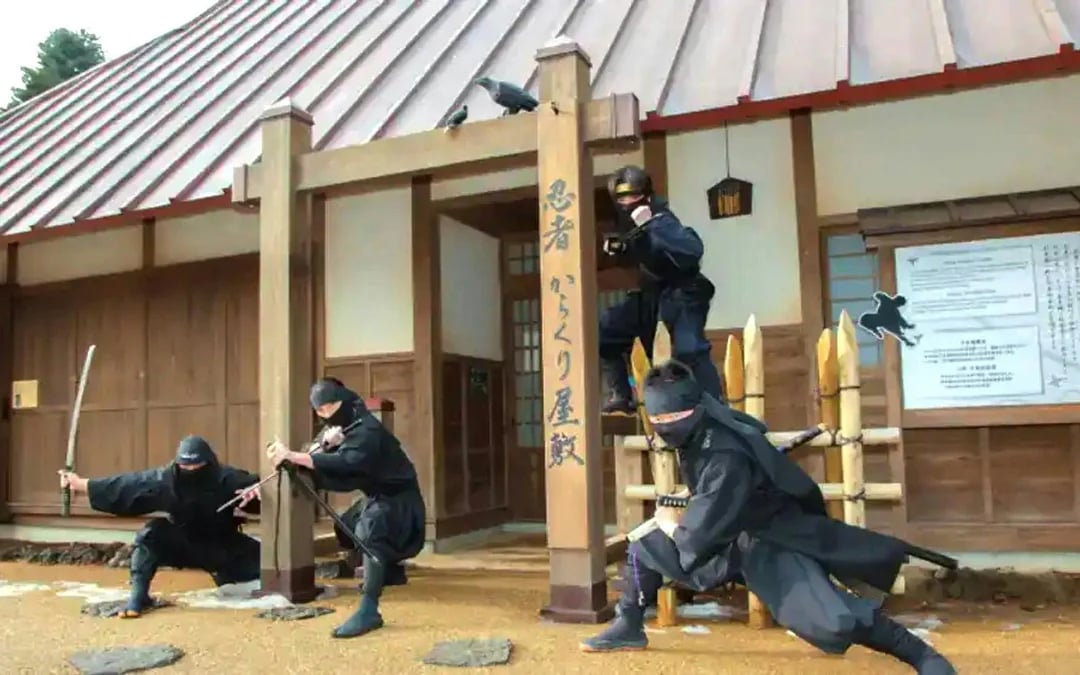 Lake Yamanaka Swan Lake Cruise + Oshino Shinobi no Sato + 1-Day Bus Pass Image 3