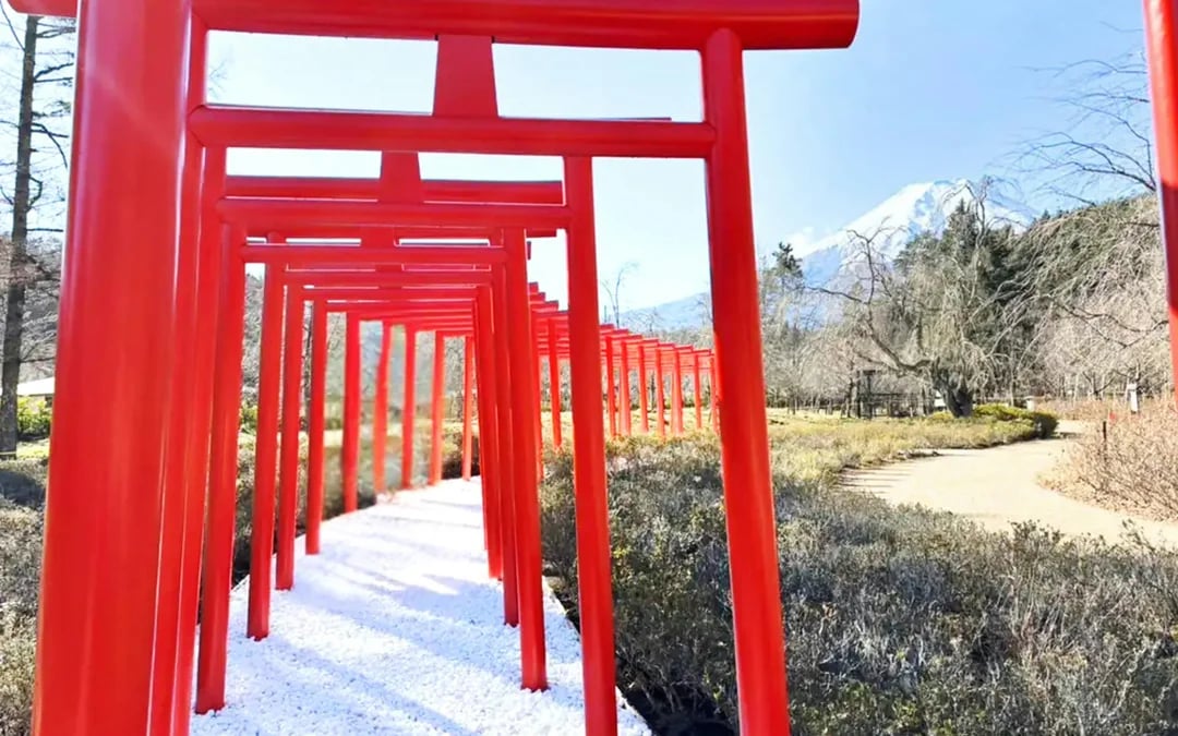 Lake Yamanaka Swan Lake Cruise + Oshino Shinobi no Sato + 1-Day Bus Pass Image 4