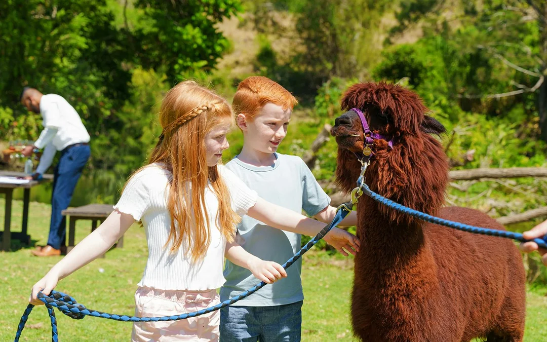 Lamington National Park, O’Reilly’s Rainforest Retreat & Vineyard Tour Image 1