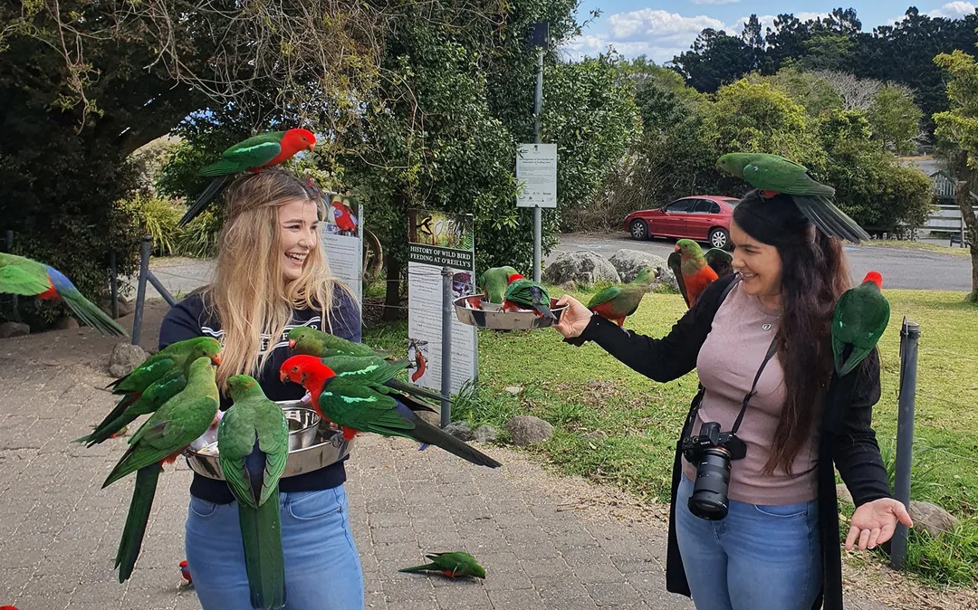 Lamington National Park, O’Reilly’s Rainforest Retreat & Vineyard Tour Image 9