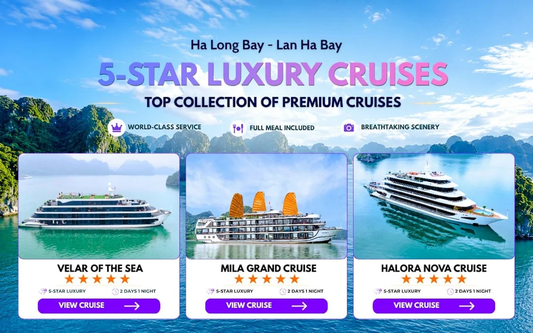 Lan Ha Bay 5-Star Premium 2D1N Cruise with Dark & Bright Cave Image 3