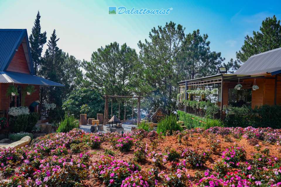 Lang Biang Mountain Ticket | Da Lat - Vietnam