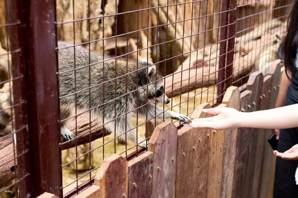 LangBiang Land Ticket in Da Lat