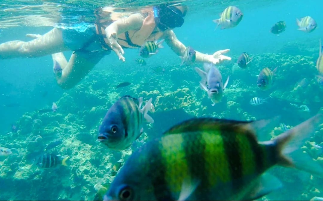 Langkawi Dangli Island Boat Trip with Snorkeling and Beach Stop Image 1