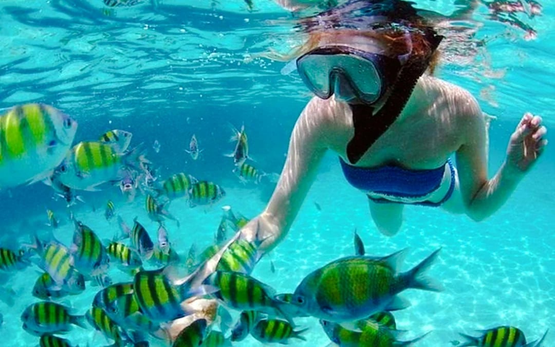 Langkawi Kilim Geoforest Park Mangrove & Island-Hopping Private Boat Tour With Snorkeling Image 1