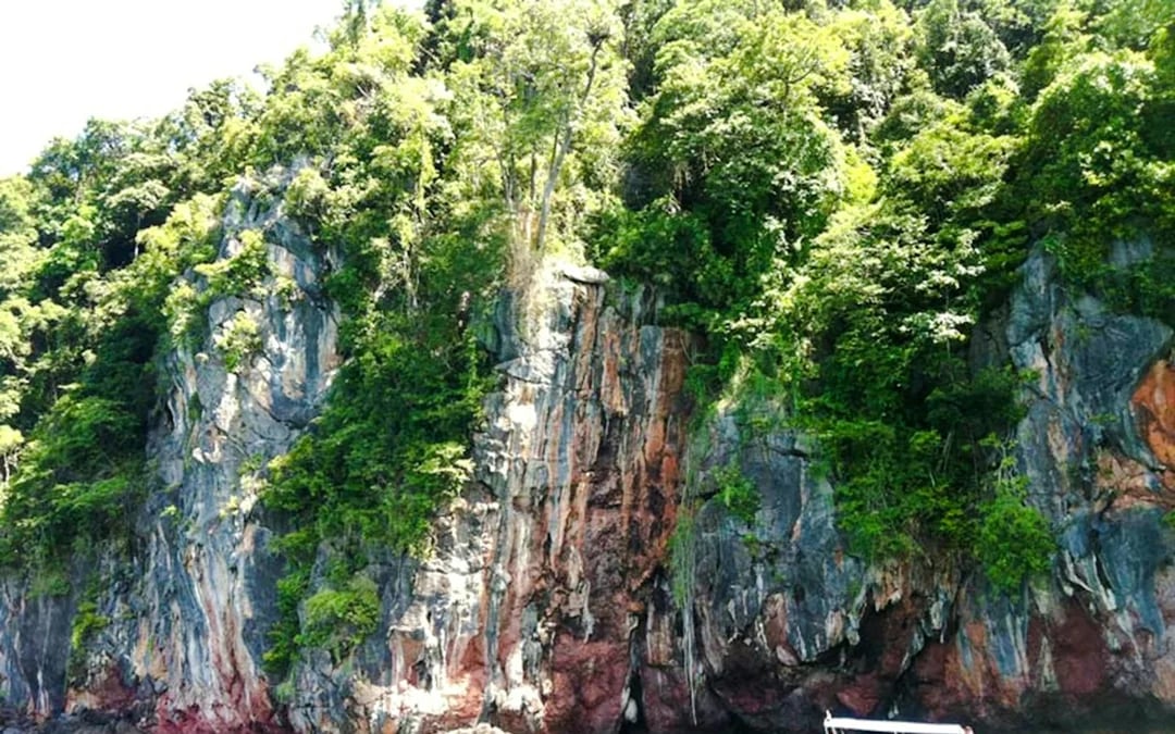 Langkawi Kilim Geoforest Park Mangrove & Island-Hopping Private Boat Tour With Snorkeling Image 4