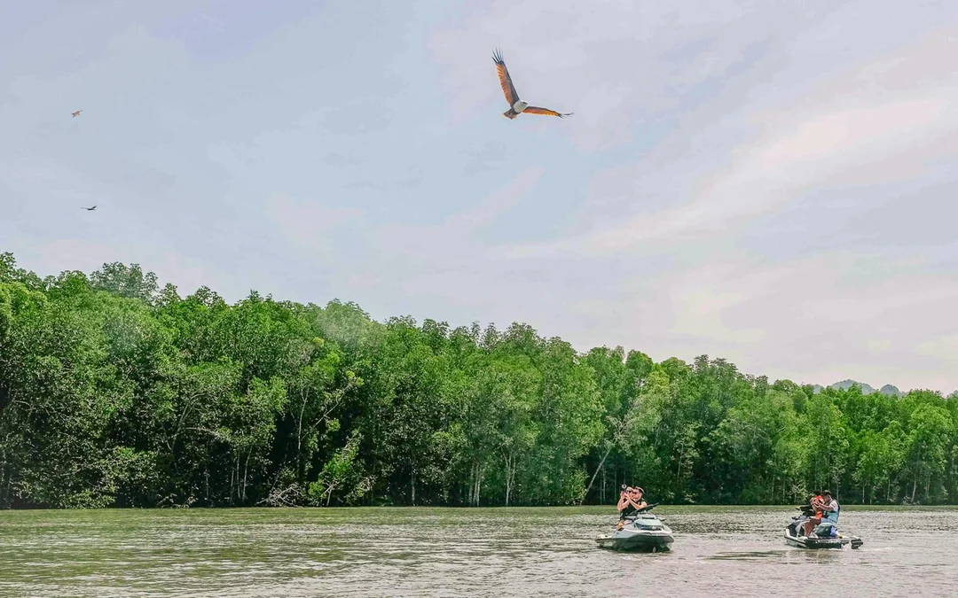 Langkawi Mangrove Jet Ski Tour - Kilim Geoforest Park Image 3