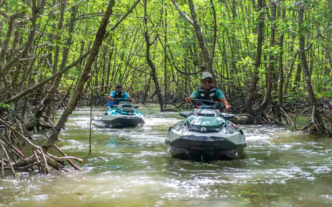 Langkawi Mangrove Jet Ski Tour - Kilim Geoforest Park Image 9