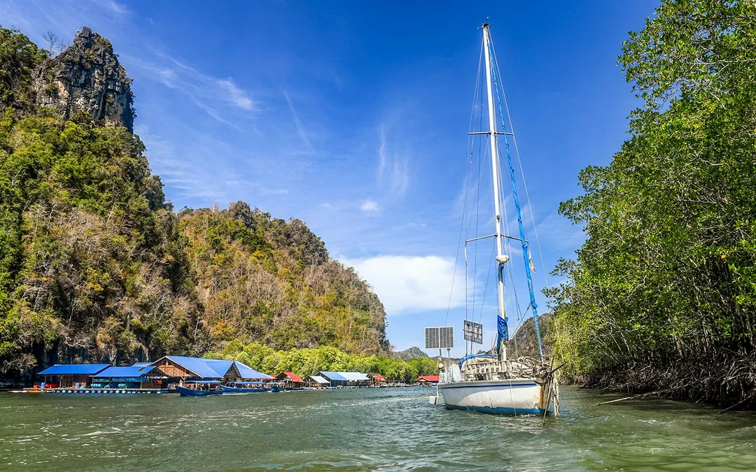 Langkawi Mangrove Kayak Tour Image 9