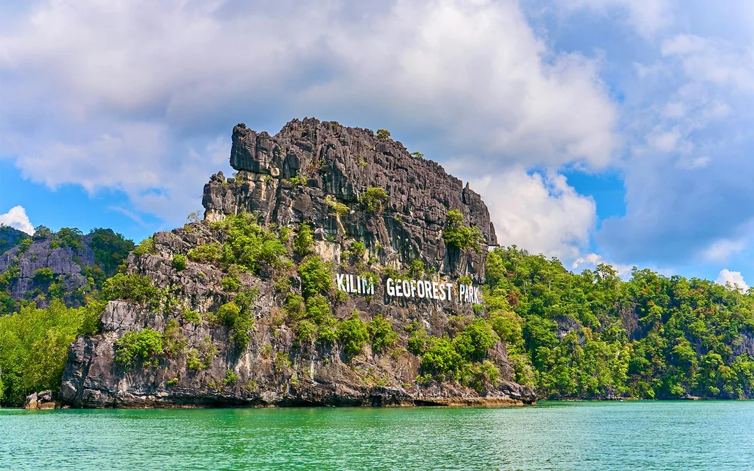 Langkawi Mangrove Tour Image 2