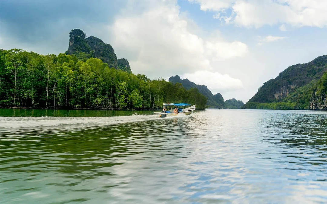 Langkawi Mangrove Tour Image 4