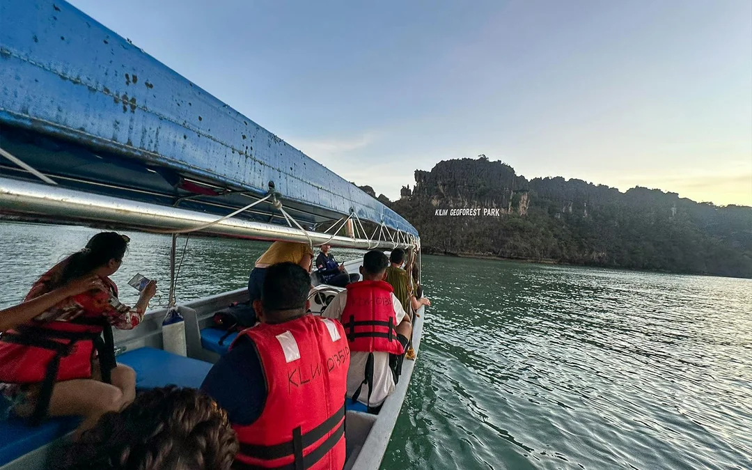 Langkawi Night Mangrove Tour Image 5
