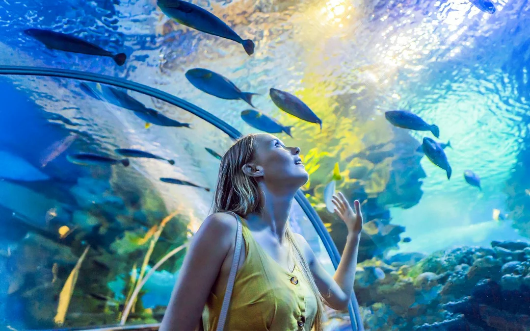 Langkawi Underwater World Tickets Image 1