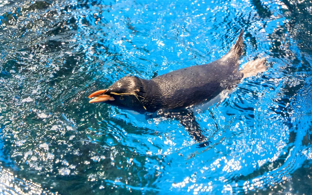 Langkawi Underwater World Tickets Image 2