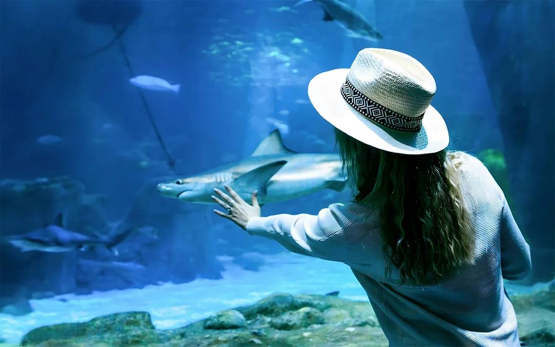 Langkawi Underwater World Tickets Image 4