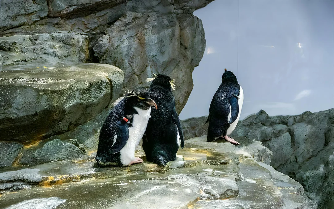 Langkawi Underwater World Tickets Image 7