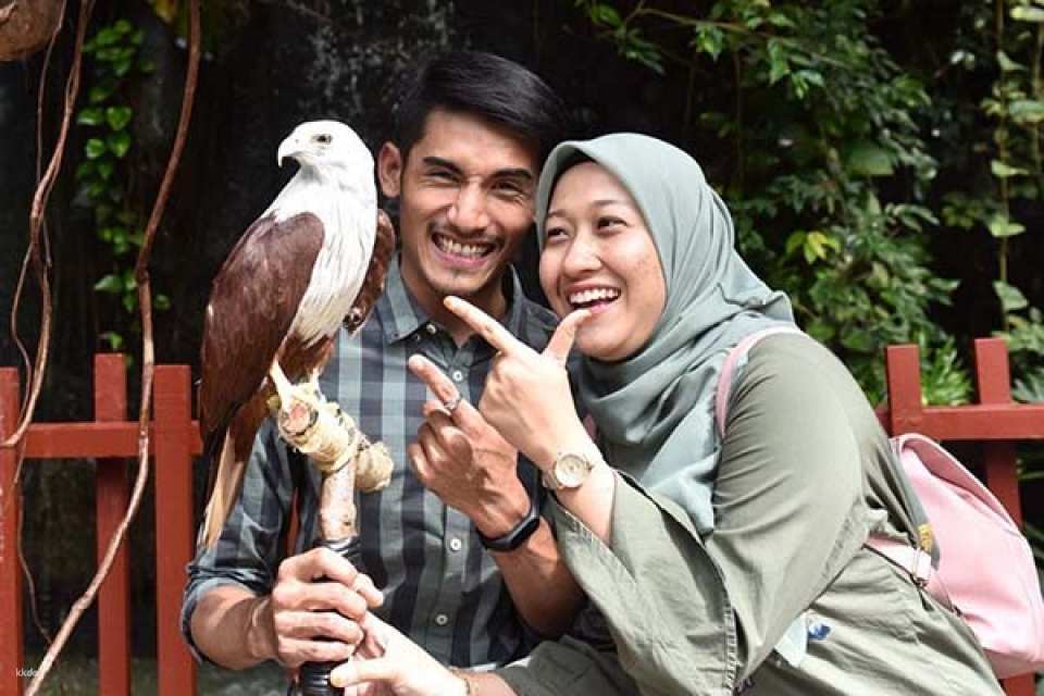 Langkawi Wildlife Park Ticket | Malaysia