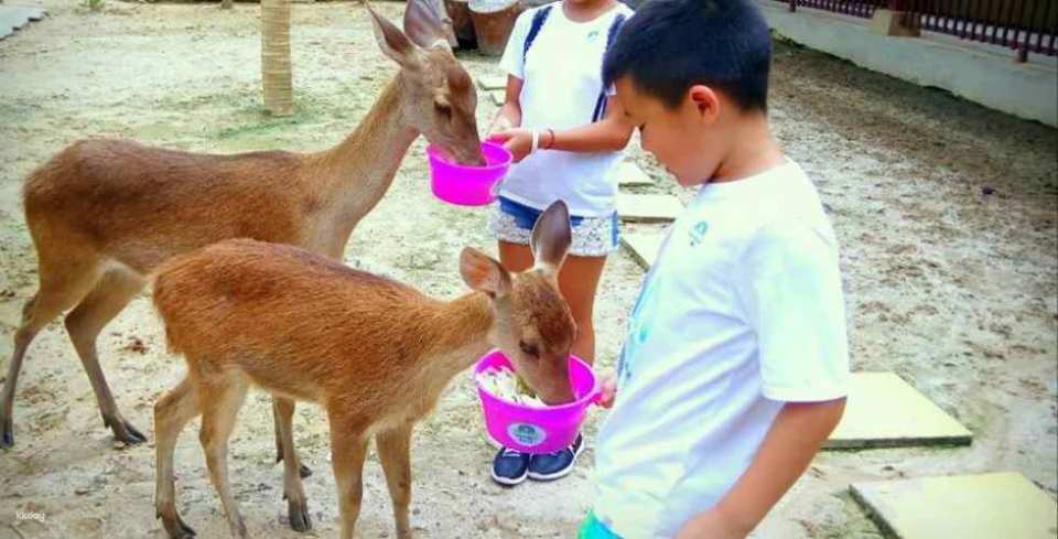 Langkawi Wildlife Park Ticket | Malaysia