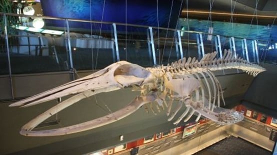Lanyang Museum