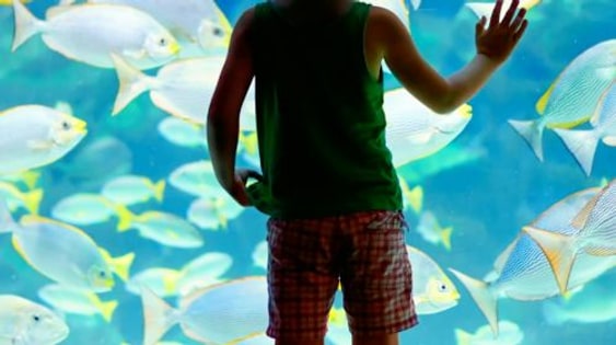 Lanzarote Aquarium: Skip The Line Ticket Senior
