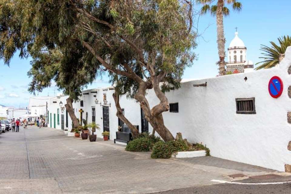 Lanzarote three-wheel Ryker bike south tour – ticket only