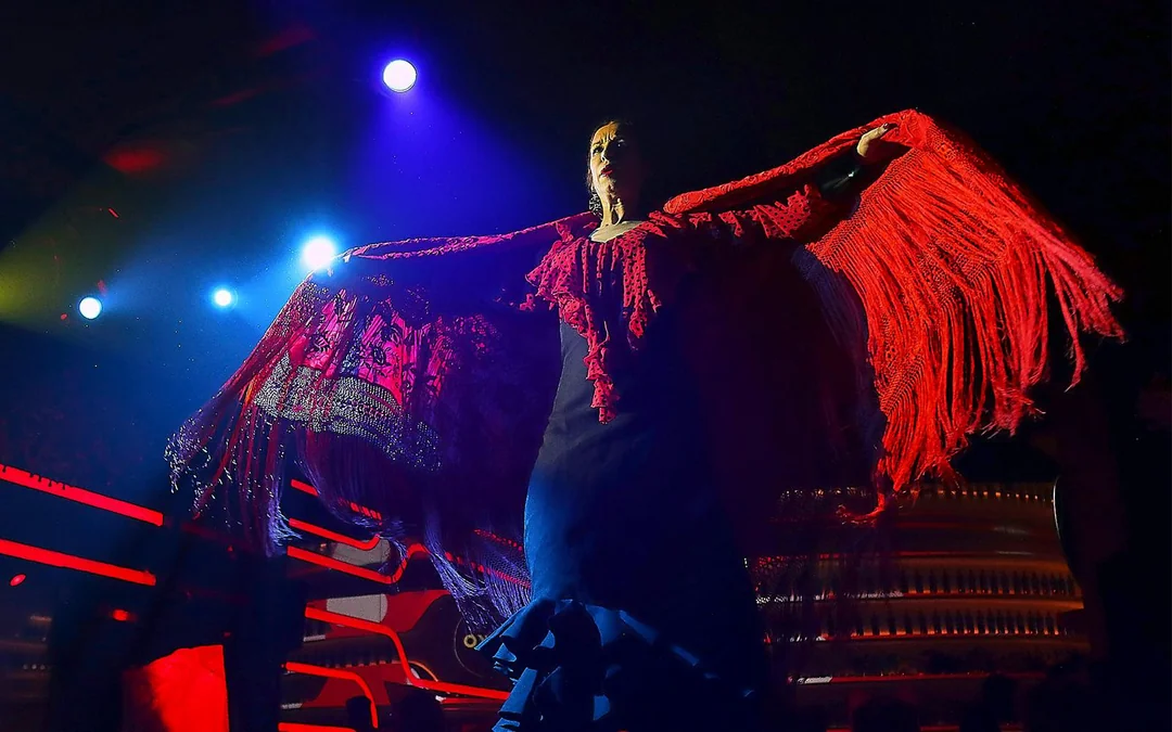 Las Setas - Flamenco Show Image 1