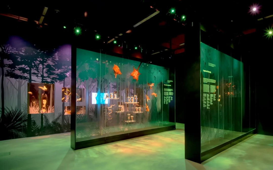 Lee Kong Chian Natural History Museum Tickets Image 2