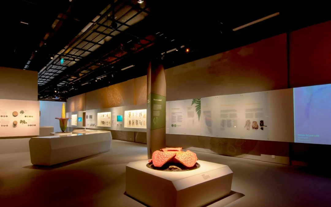 Lee Kong Chian Natural History Museum Tickets Image 11