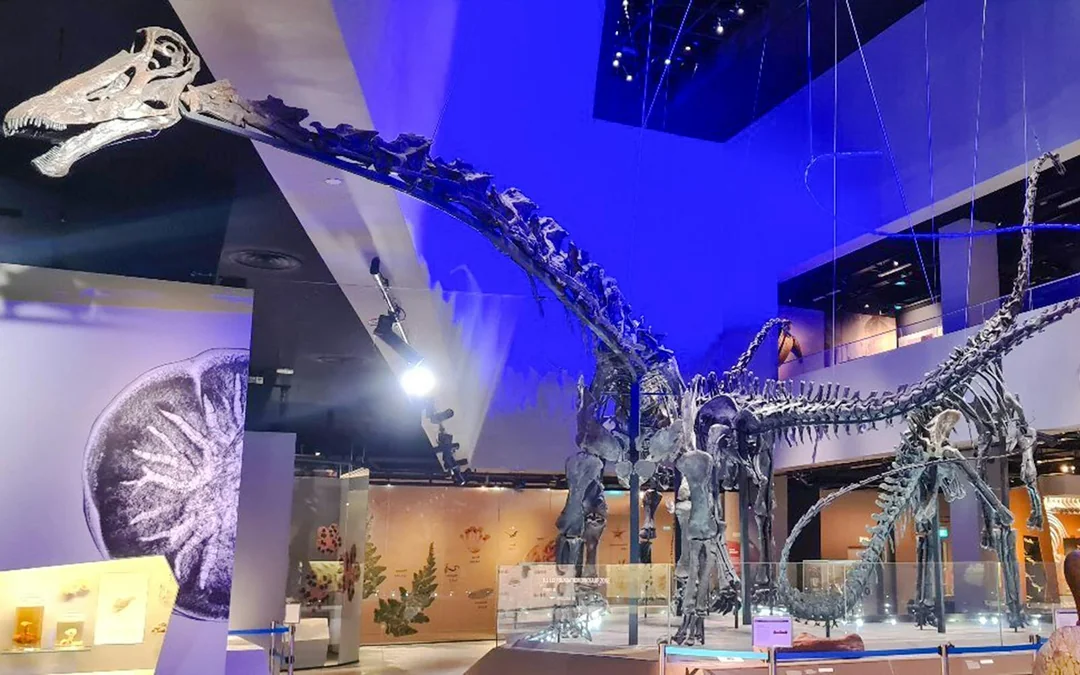 Lee Kong Chian Natural History Museum Tickets Image 3