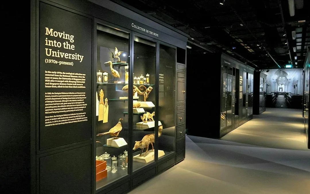 Lee Kong Chian Natural History Museum Tickets Image 4