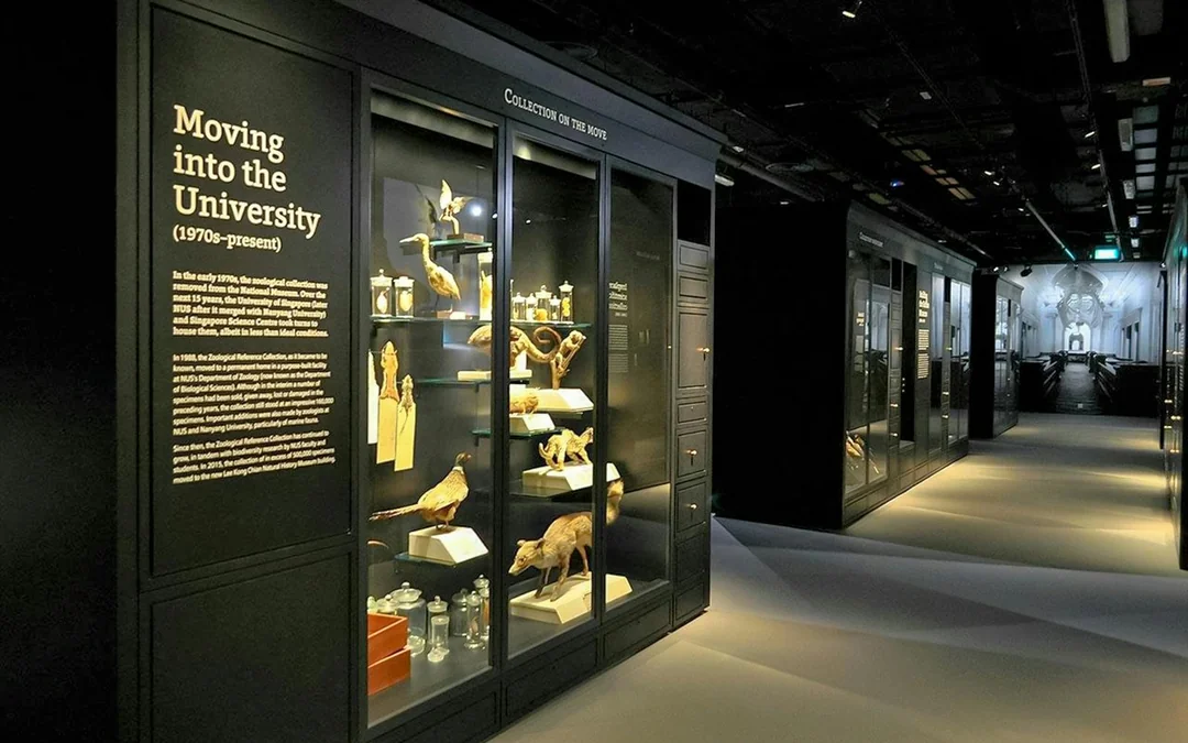 Lee Kong Chian Natural History Museum Tickets Image 4