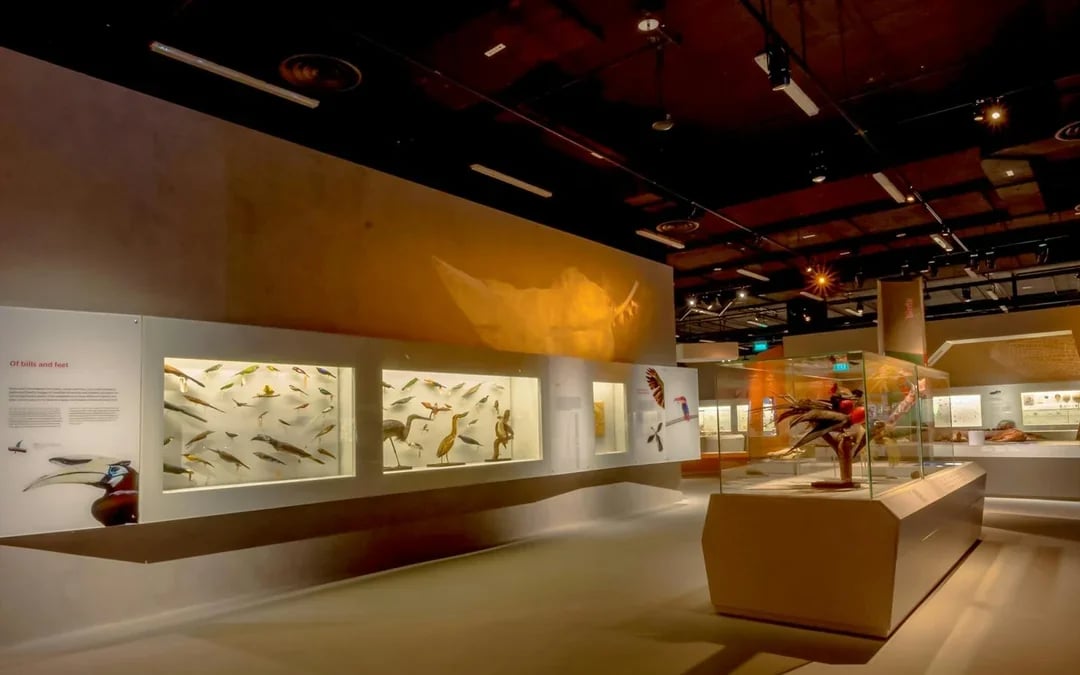 Lee Kong Chian Natural History Museum Tickets Image 6