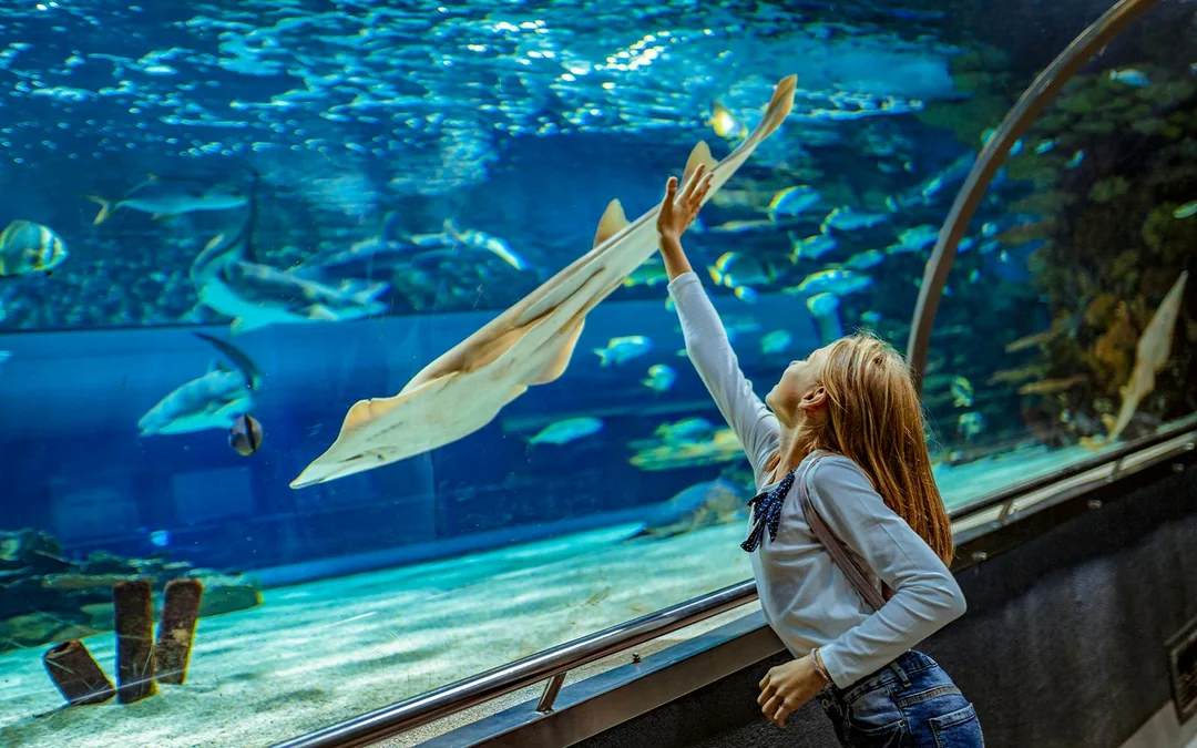 LEGOLAND® California + Water Park + SEA LIFE Aquarium: 2-Day Tickets Image 5
