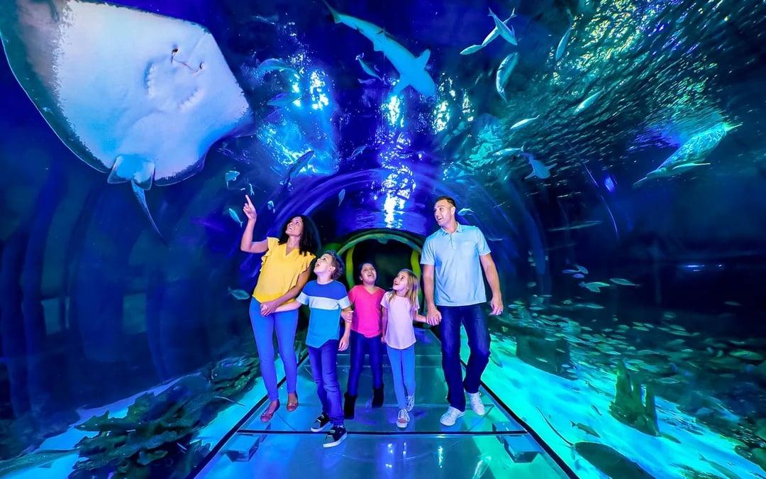 LEGOLAND® Florida 7-Park Pass Image 5