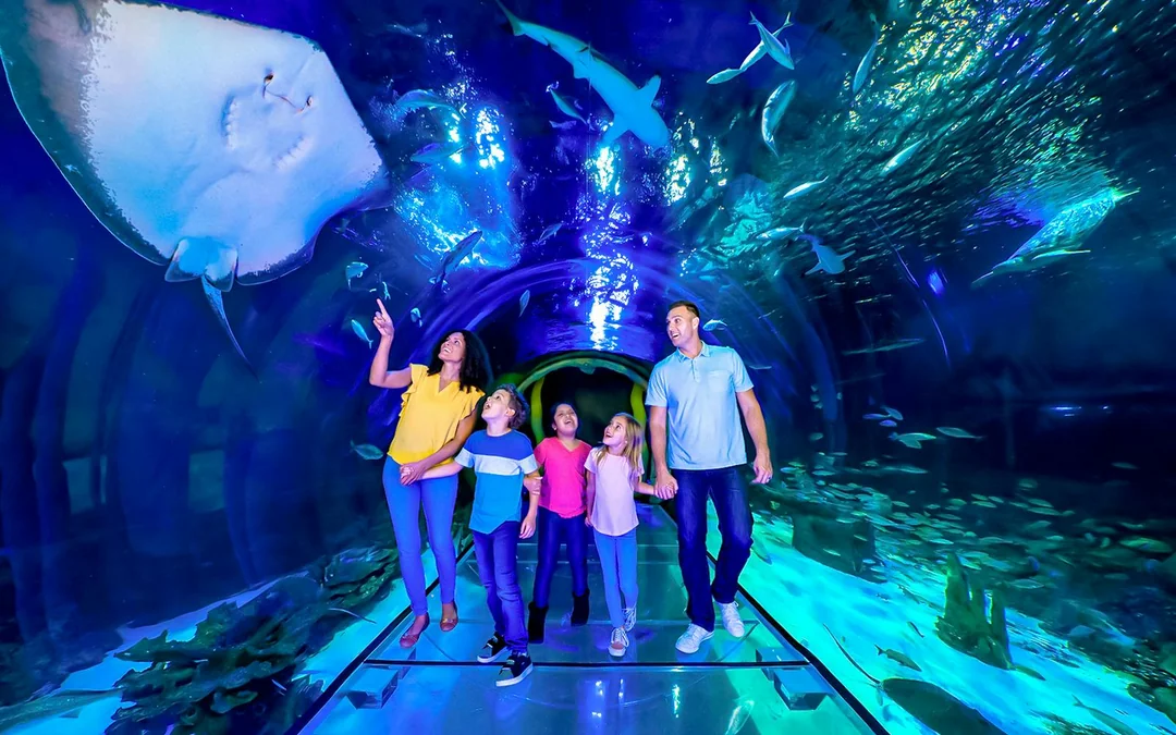LEGOLAND® Florida 7-Park Pass Image 5
