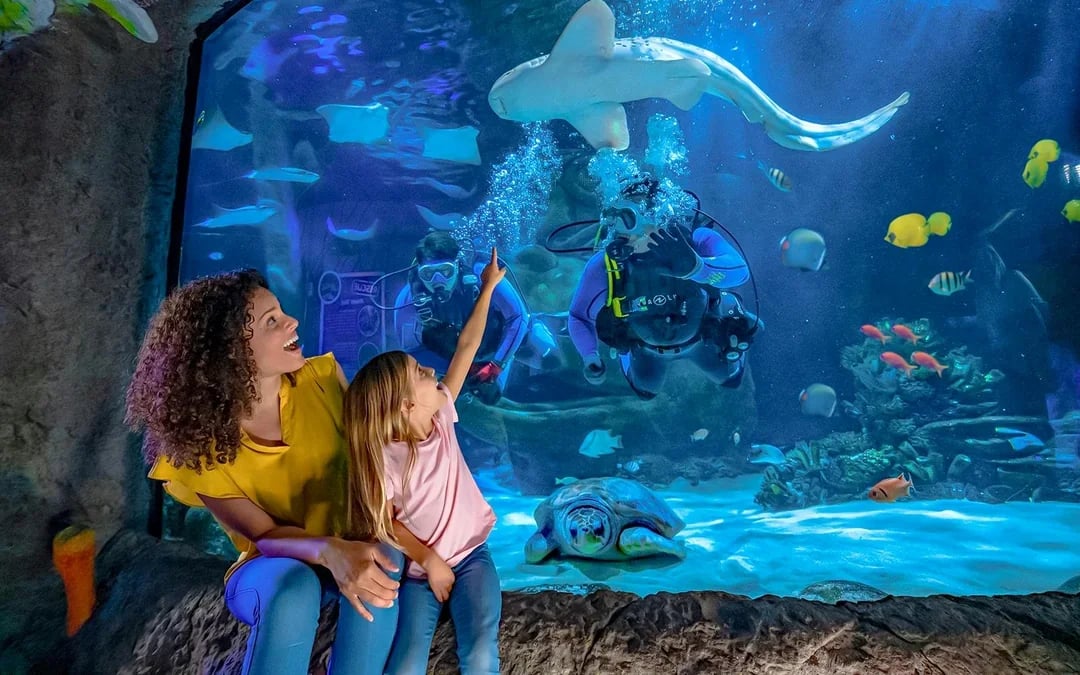 LEGOLAND® Florida 7-Park Pass Image 9