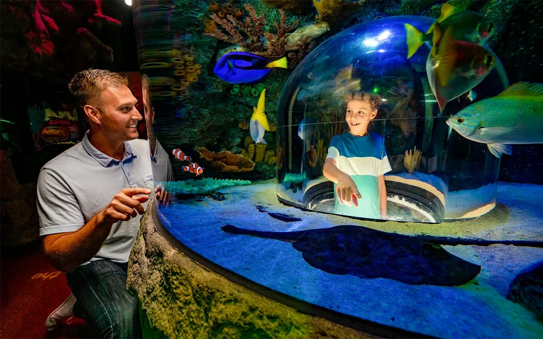 LEGOLAND® Florida + SEA LIFE Florida Aquarium Tickets Image 4