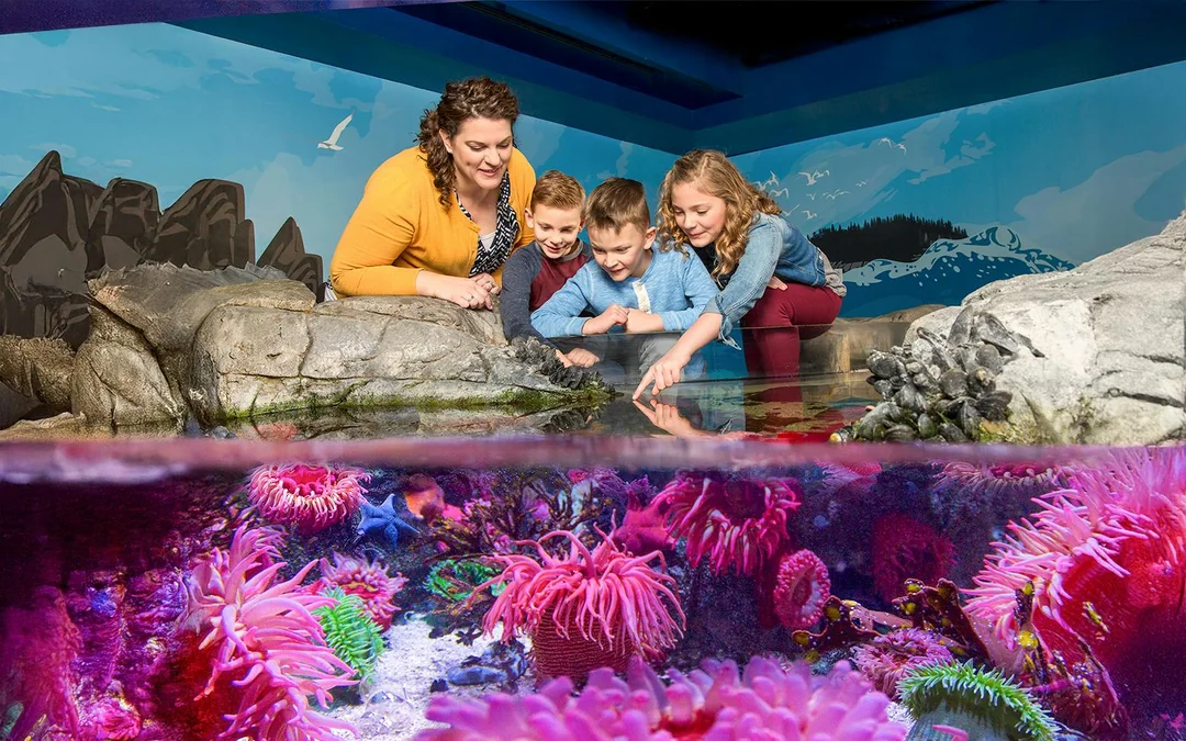 LEGOLAND® Florida + SEA LIFE Florida Aquarium Tickets Image 5
