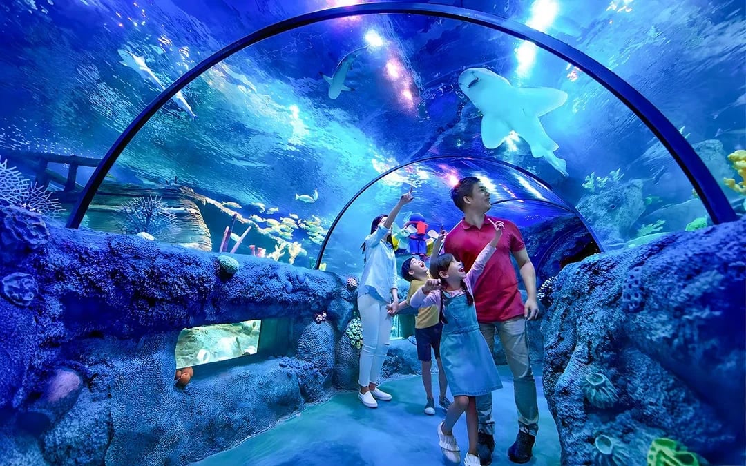 LEGOLAND® Malaysia Admission Ticket + Round Trip transfers from Singapore Image 9