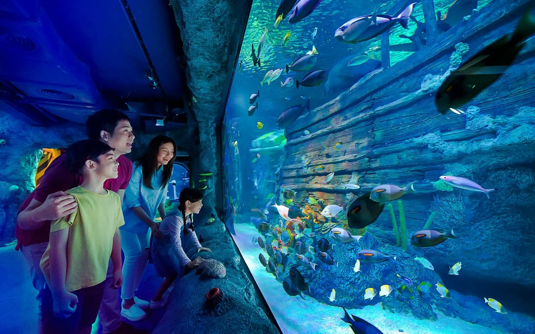 LEGOLAND® Malaysia SEA LIFE Image 3