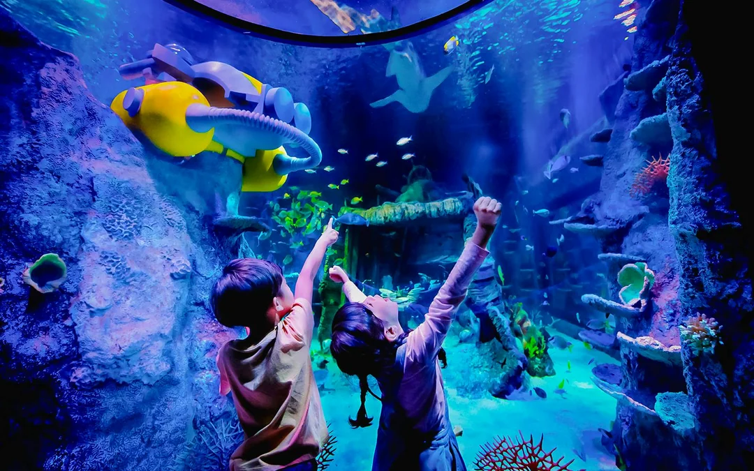 LEGOLAND® Malaysia SEA LIFE Image 5
