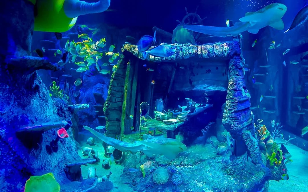 LEGOLAND® Malaysia SEA LIFE Image 6