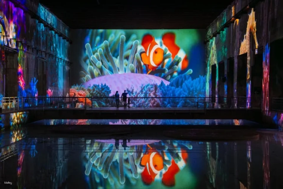 Entrance Ticket for Les Bassins des Lumières Art Center in Bordeaux